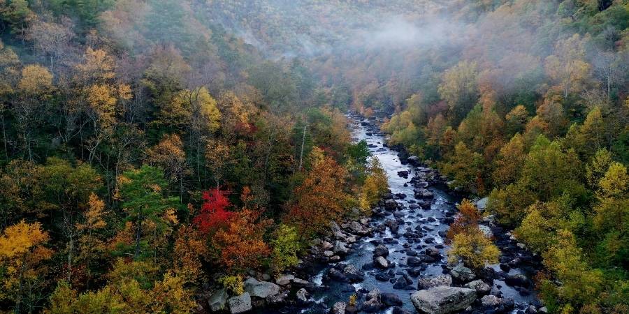Virginia Hunting Seasons virginia-hunting-seasons